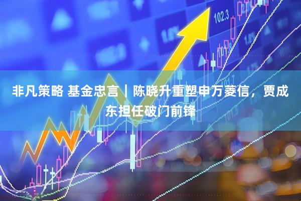 非凡策略 基金忠言｜陈晓升重塑申万菱信，贾成东担任破门前锋