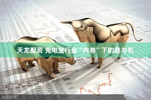 天龙配资 充电宝行业“内卷”下的危与机