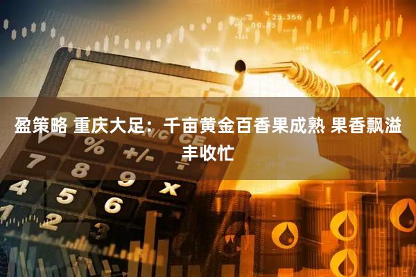 盈策略 重庆大足：千亩黄金百香果成熟 果香飘溢丰收忙
