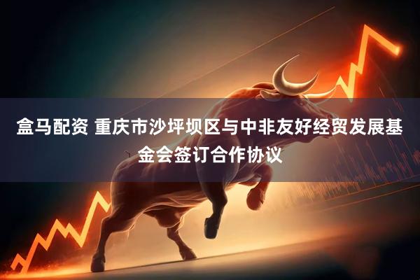 盒马配资 重庆市沙坪坝区与中非友好经贸发展基金会签订合作协议