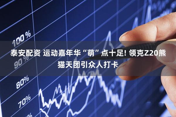 泰安配资 运动嘉年华“萌”点十足! 领克Z20熊猫天团引众人打卡