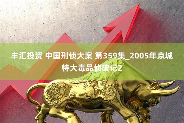 丰汇投资 中国刑侦大案 第359集_2005年京城特大毒品侦破记2