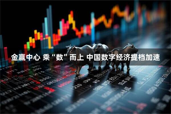 金赢中心 乘“数”而上 中国数字经济提档加速